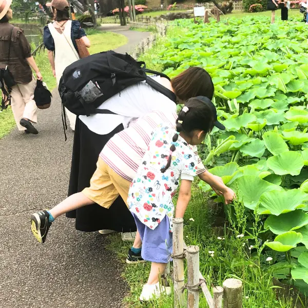 イメージ：Feel度Walkの様子